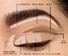 eyeshadow applicator spd for eyeshadow powder Suprabeauty