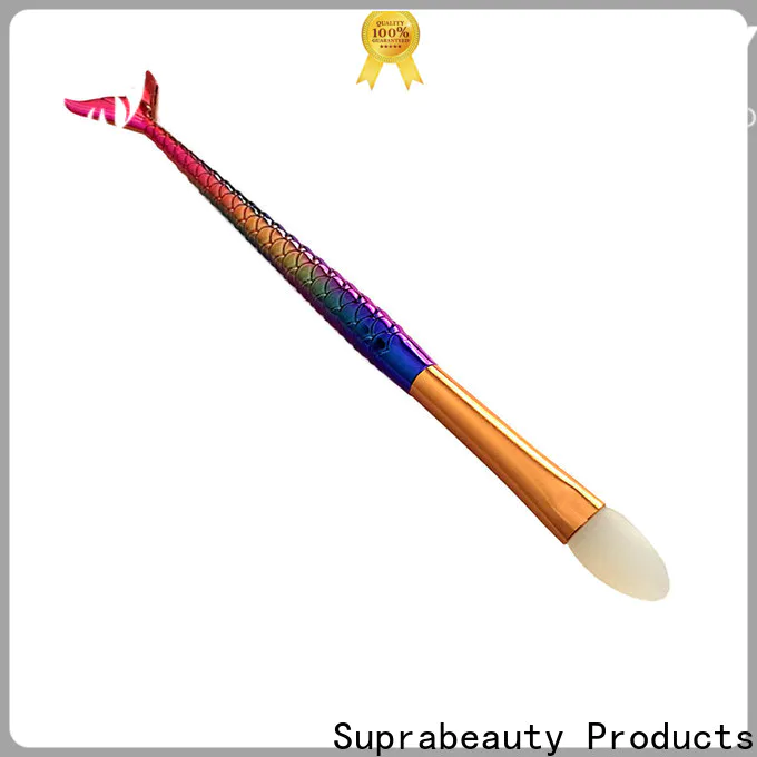 practical cosmetic brush from China for women