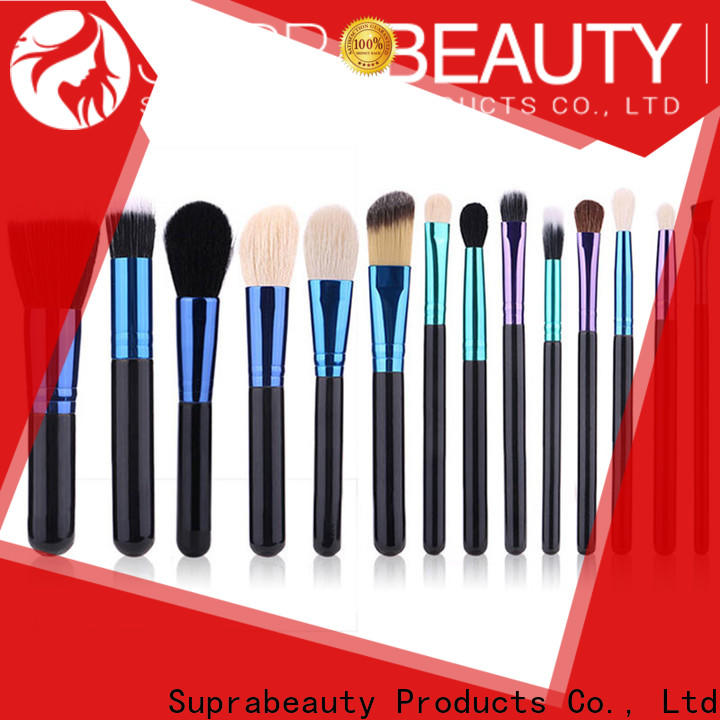 Suprabeauty eyeshadow brush set factory for sale