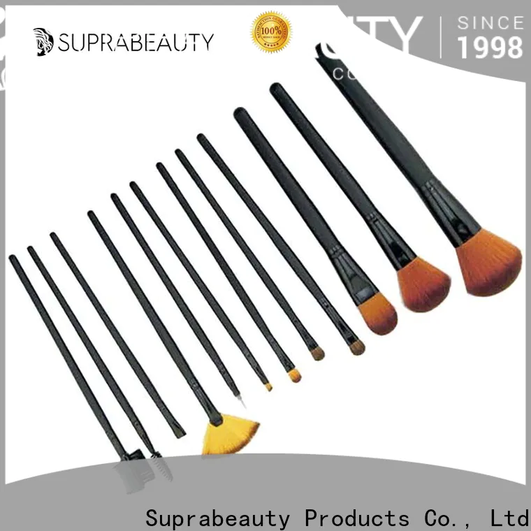 promotional makeup brush kit online factory direct supply for sale