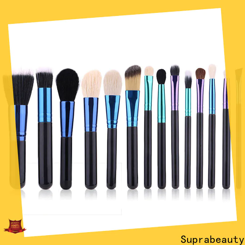 Suprabeauty eyeshadow brush set directly sale bulk production