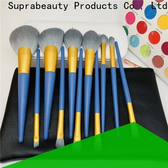 Suprabeauty worldwide professional makeup brush set directly sale for women