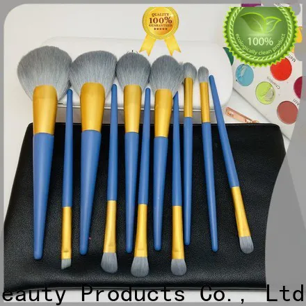 Best 5 makeup brush set Supply for women
