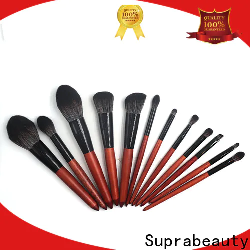New best face brush set manufacturers for beauty