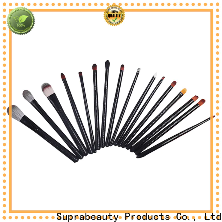 Suprabeauty 10 piece makeup brush set Supply for women