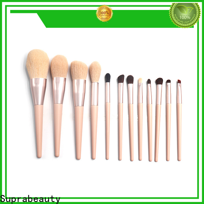 Latest professional brush set for business for cosmetic retail store