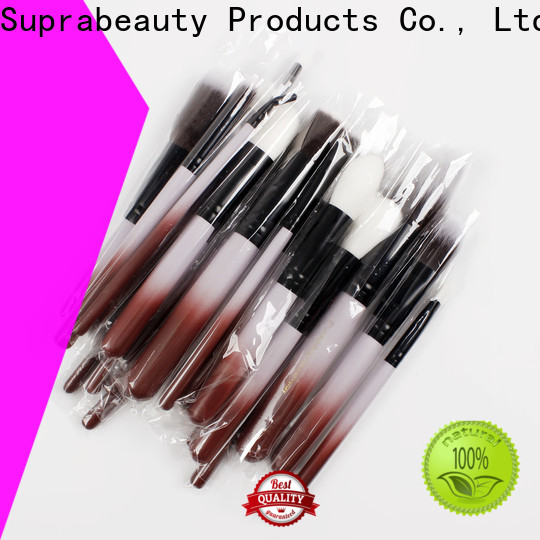 Wholesale best affordable brush sets Suppliers for beauty