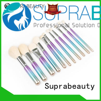 Suprabeauty top selling complete makeup brush set series for beauty