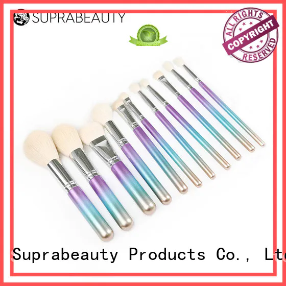 spn makeup brush set cheap with curved synthetic hair for students