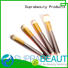 eyeshadow brush set sp for artists Suprabeauty